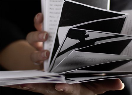 Zwillingsbroschur Detailansicht